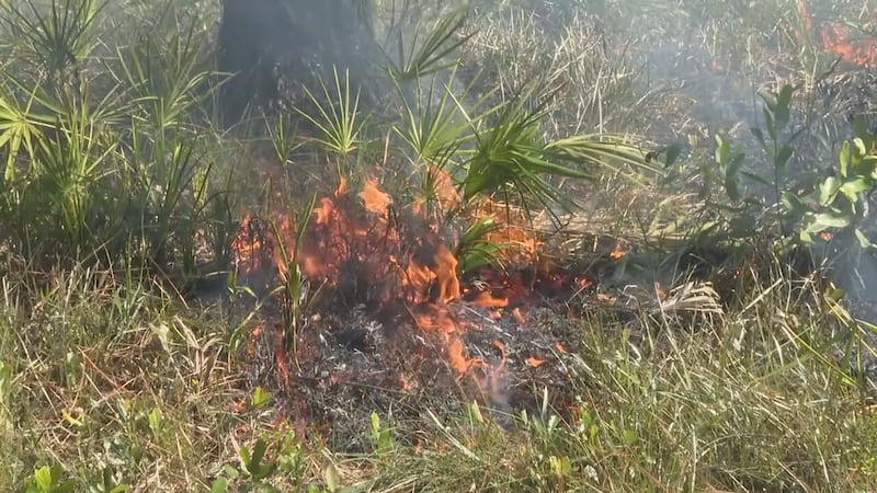 Prohibición de quema en Ohio