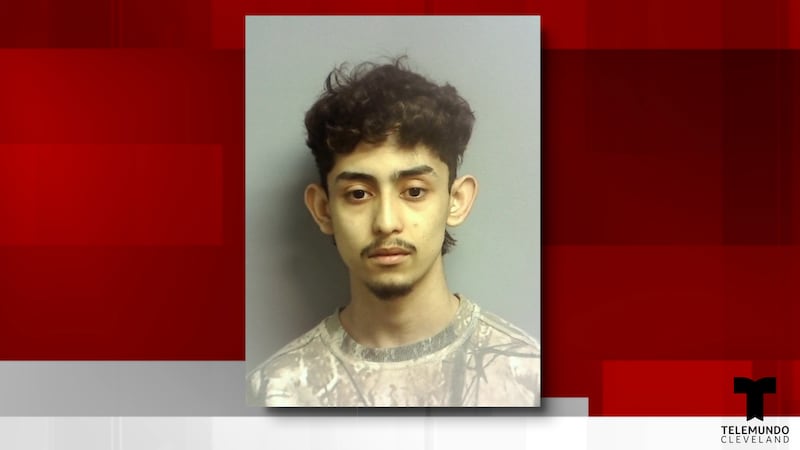 Un hombre de Painesville muere tras ser atropellado intencionalmente; un joven de 21 años es...