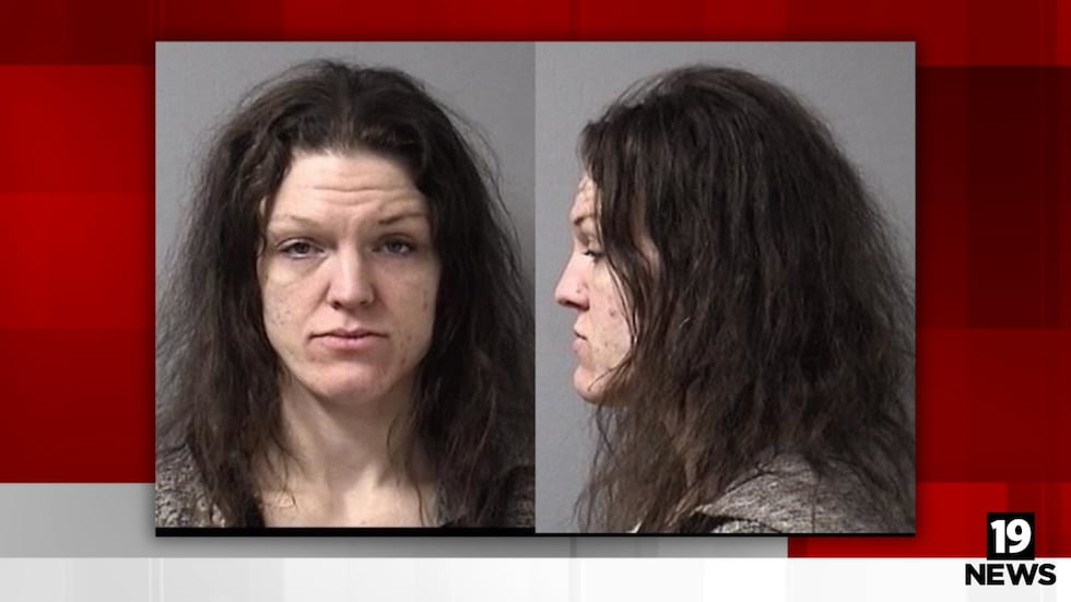 Madre enfrenta cargos tras encontrar a dos niños, entre ellos uno con autismo, afuera durante...