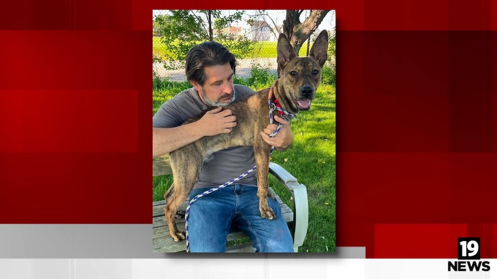 Viral dog left behind Lorain skating rink gets 2nd chance at shelter