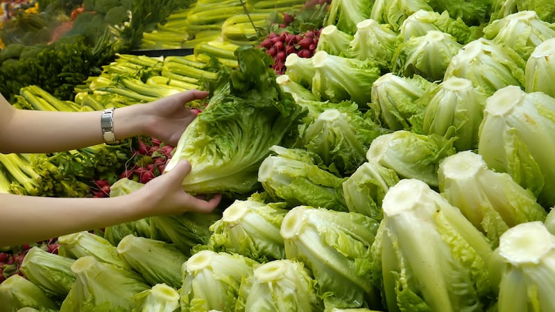 Woman selecting green lettuce in grocery store