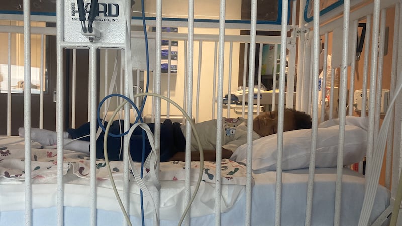 Una madre de Cleveland afirma que su hijo pequeño fue hospitalizado debido al moho en su...