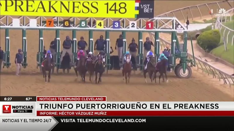 Sabor puertorriqueño en Preakness Stakes con una celebración que se sintió en la Isla del Encanto