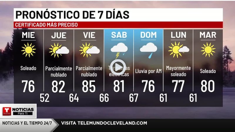 WX 7 DIAS