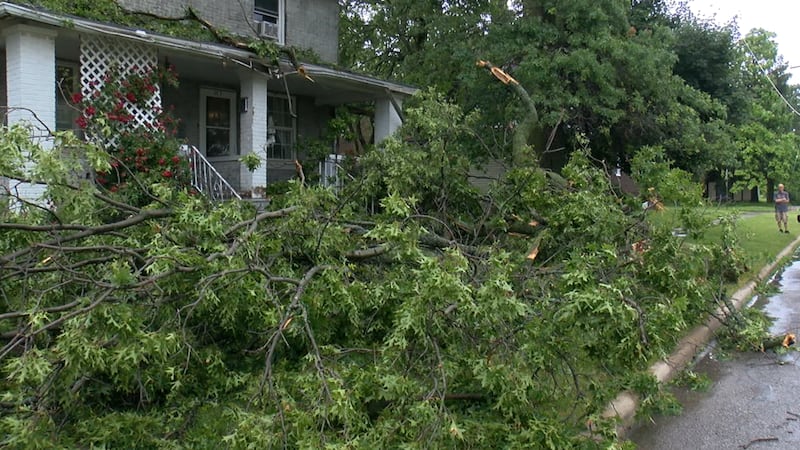 Daños por tormentas severas registrados en Lorain