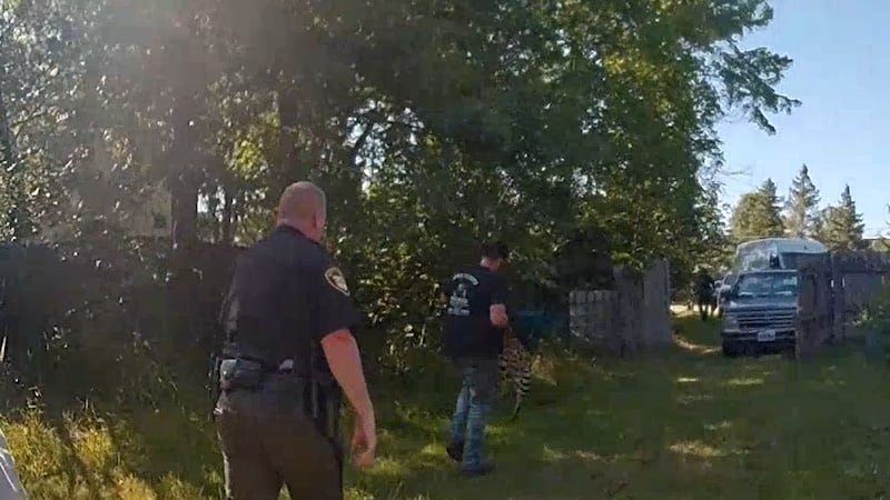 Bodycam footage captures the moment authorities closed in on a missing exotic pet after it...