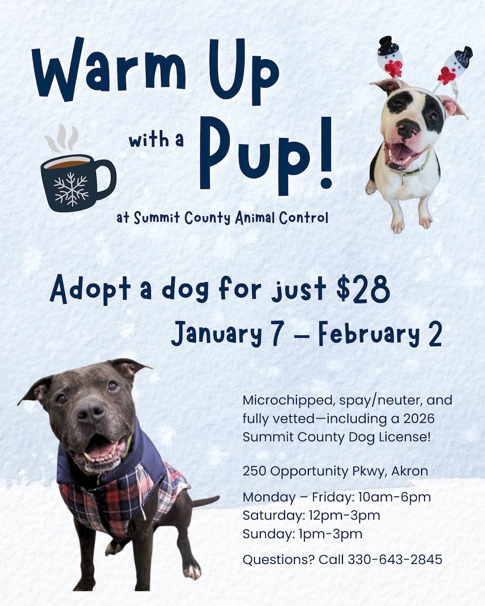 ¡“Warm Up with a Pup!”: Adopta un perro del Condado de Summit por $28