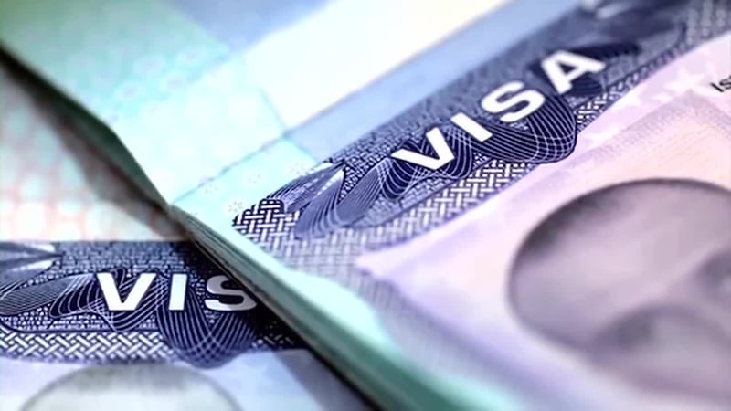 Estados Unidos revocó 100,000 visas en 2025, más del doble que en 2024. Además de opinar en...