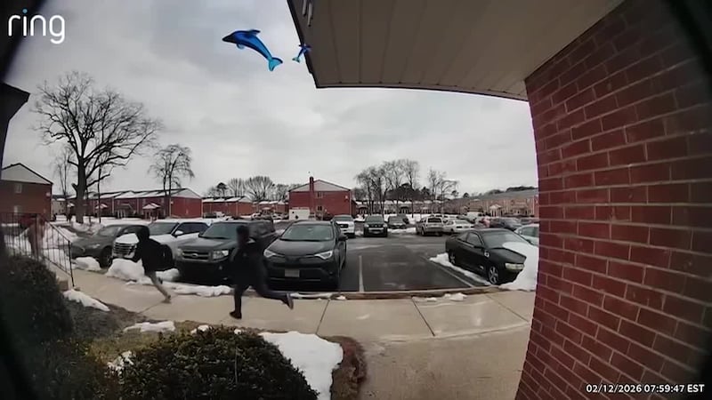 Niños que recién se bajaban del autobús escolar hacia sus casas salen corriendo por todo el...
