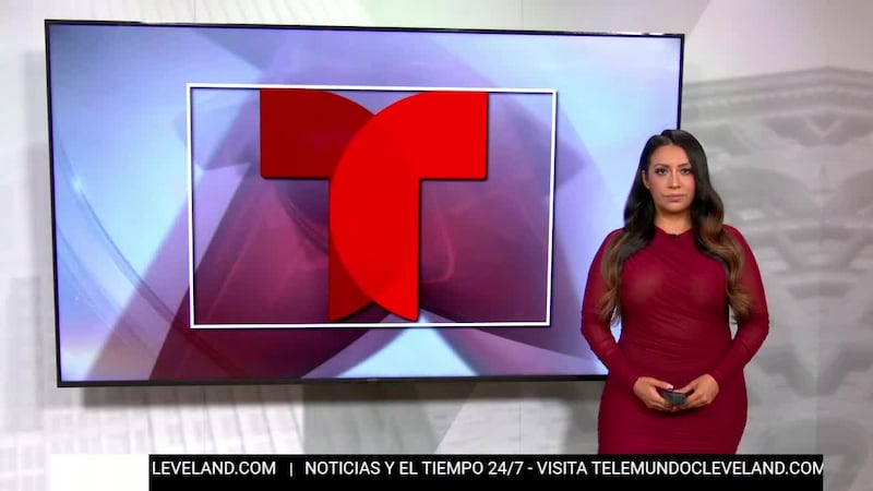 Policía investiga pelea viral en Lucky’s; madre de 16 niños enfrenta nuevos cargos; y...