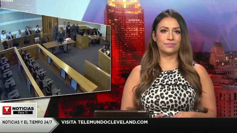 Andrew Davison atacó a dos agentes en una sala del tribunal de Elyria mientras era sentenciado...