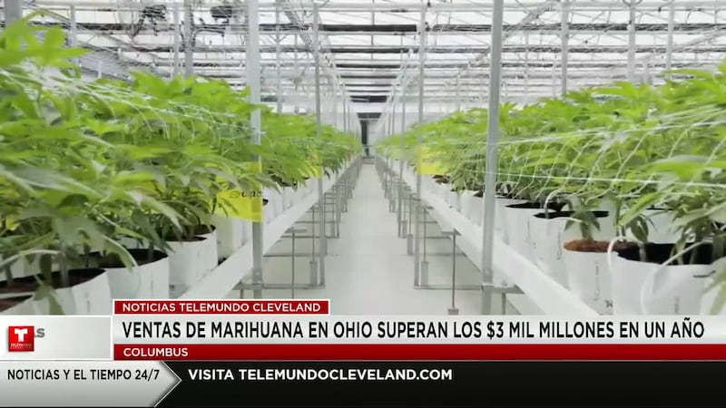 El negocio de la marihuana en Ohio está en pleno auge, con ventas que suman más de 3 mil...
