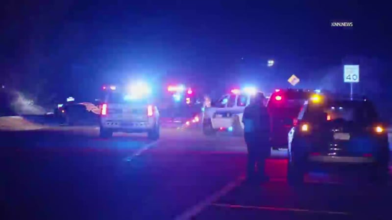 Yegua atropellada por conductor mientras su dueña la montaba. Tuvo que ser sacrificada...