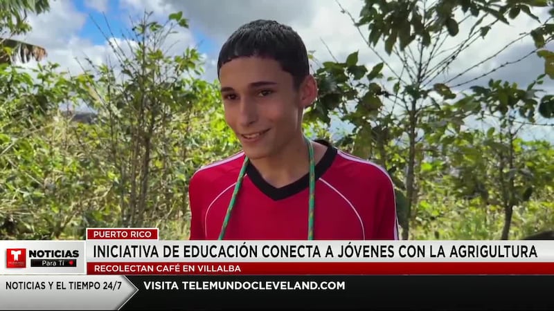 En Villalba, Puerto Rico, un grupo de estudiantes deja los libros por un momento para proteger...